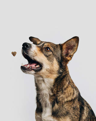 Supplement voor vacht en huid van de hond Fur & Skin Oggo 180 g - 4