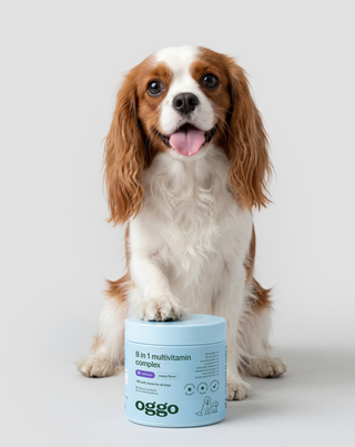 Multivitamine voor honden 8 in 1 voor weerstand, vacht en vitaliteit Oggo 180 g - 2