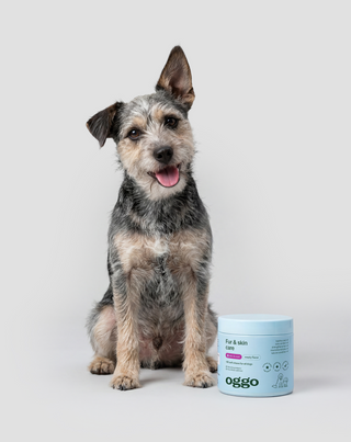 Supplement voor vacht en huid van de hond Fur & Skin Oggo 180 g - 2
