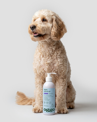 Zalmolie voor honden Omega-3 EPA en DHA voor hart, hersenen en weerstand Oggo 250 ml - 2