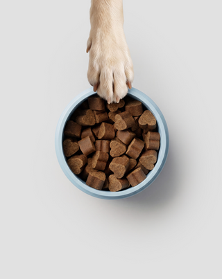 Probiotica voor honden Bacillus velezensis voor spijsvertering, darmen en weerstand Oggo 180 g - 5