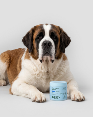 Supplement voor gewrichten en botten bij grote, actieve, oudere honden Joint & Bone Support Oggo 180 g - 3