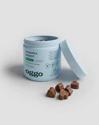 Probiotica voor honden Bacillus velezensis voor spijsvertering, darmen en weerstand Oggo 180 g - 4